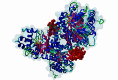 pdb:1EPX